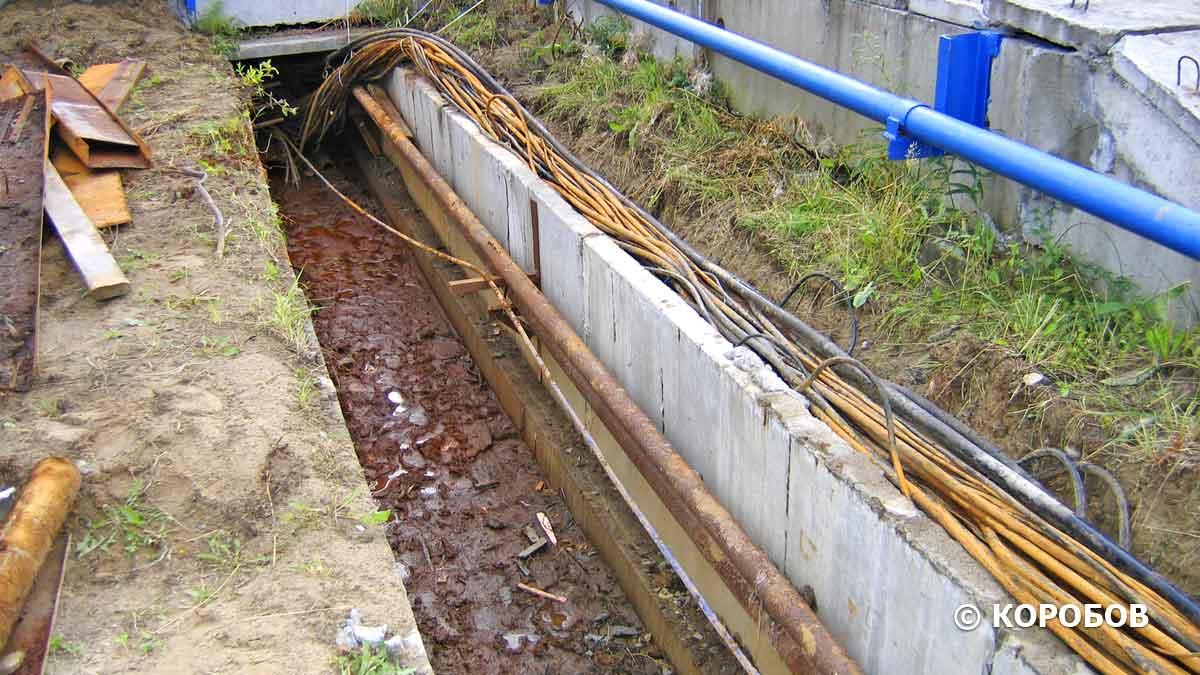 Лоток или Короб?